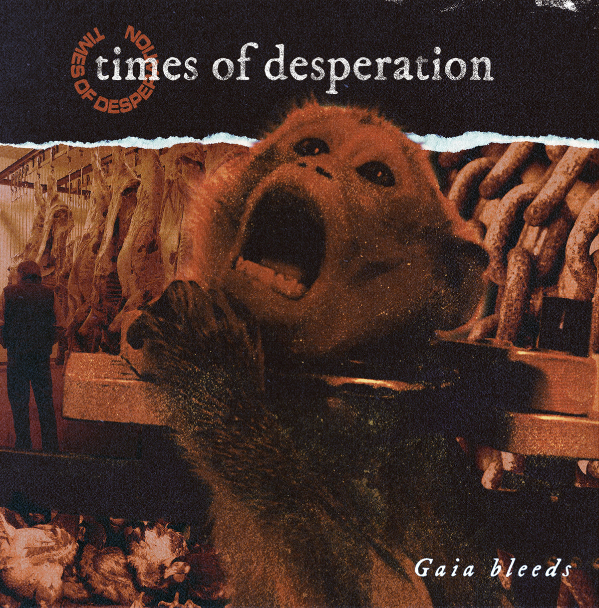 Times of Desperation – Gaia Bleeds 12″